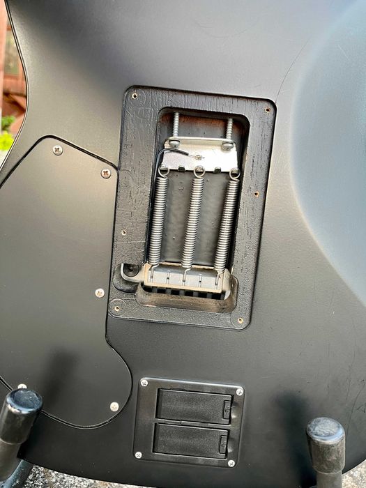 gitara elektryczna Schecter Damien Platinum-6 FR S SBK