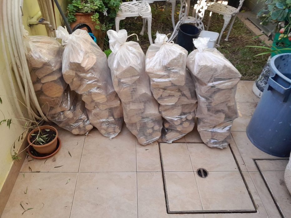 Sacos lenha, lote lenha, pinhas