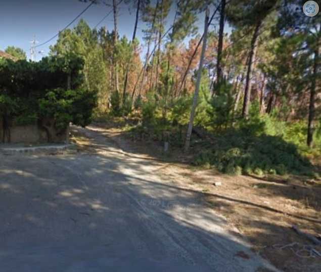 Terreno  400 m² - pinhal e eucaliptos