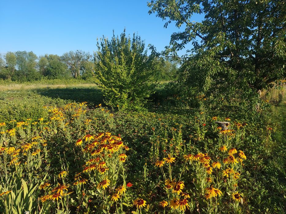 Продам участок в Солоницевском Отг (п Берминводы)