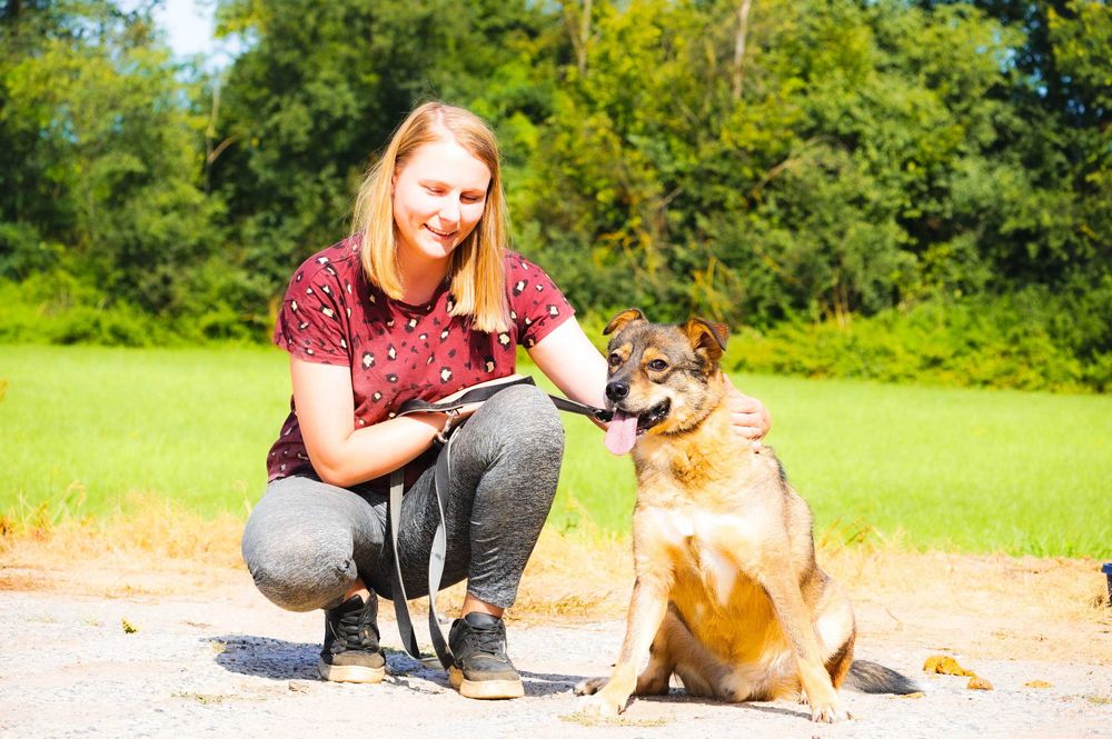 Ufo - niewielki pies szuka domu
