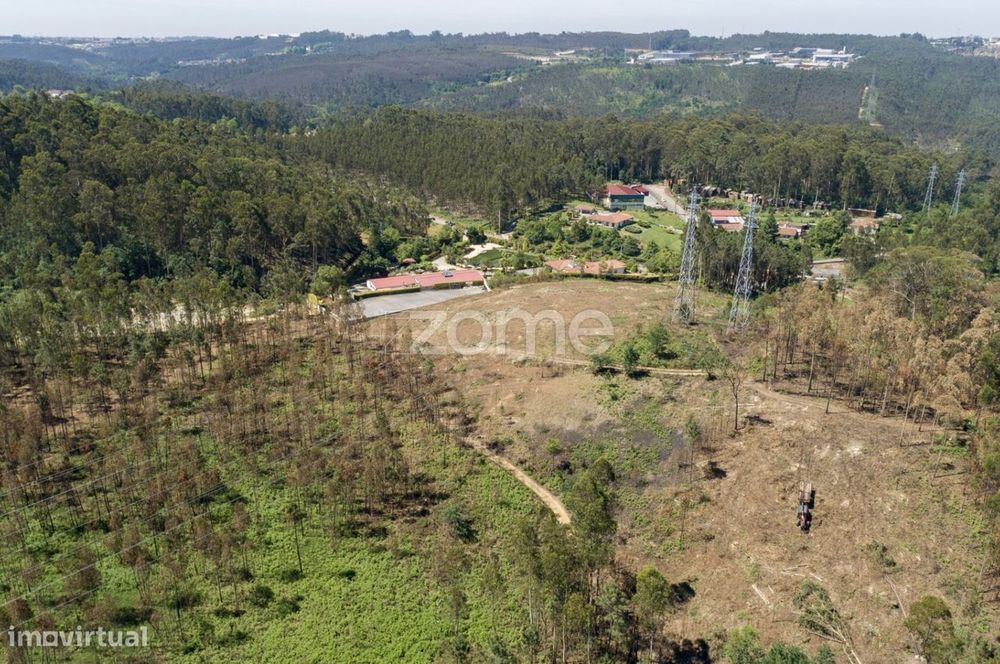 Terreno florestal com capacidade construtiva - Santa Maria da Feira