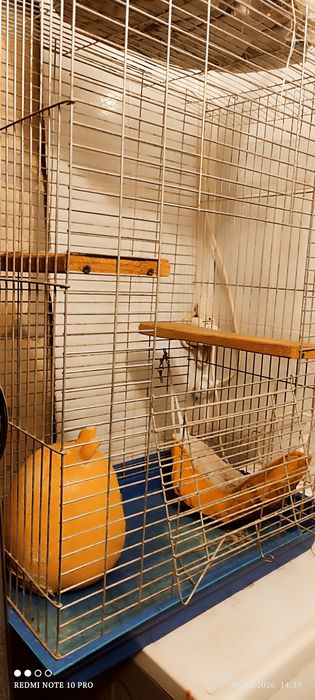 Продам клітку для гризунів