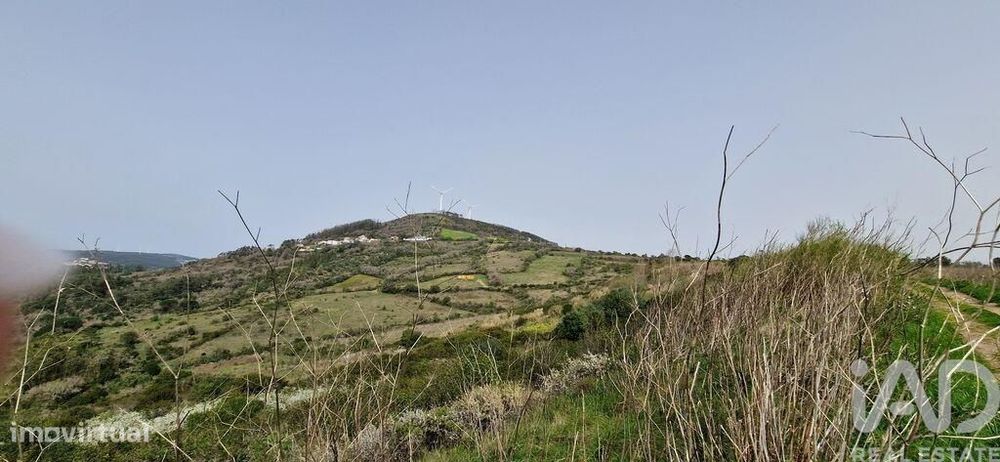 Terreno Agrícola em Mafra