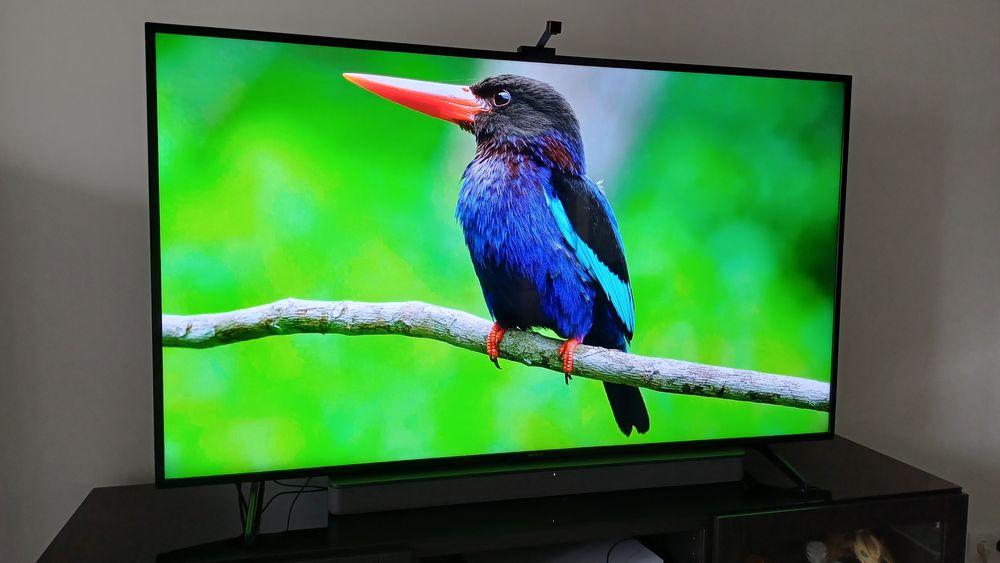 TV Sony Bravia 65 Polegadas 4K – Smart TV – Perfeita Condição