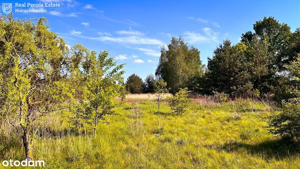 Wyjątkowa działka rolno-budowlana Pryszczowa Góra