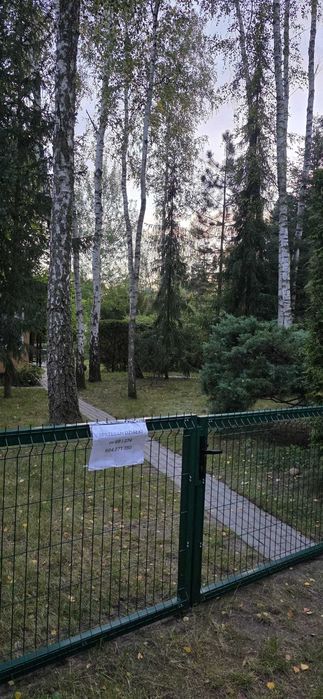 Zdjęcie 7
