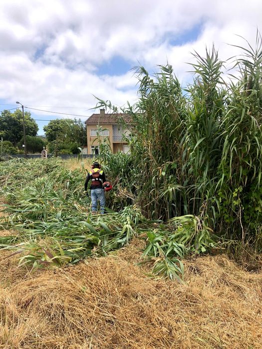 Limpeza de terrenos/desmatação LISBOA e arredores