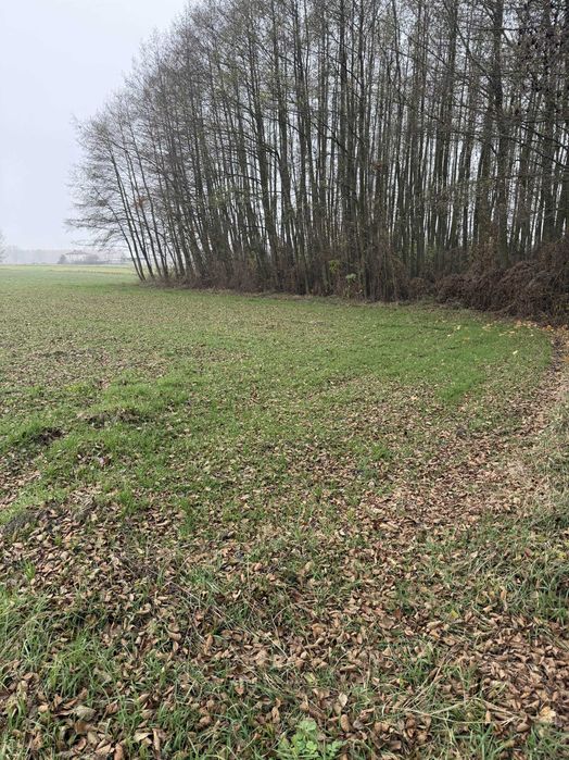 Sprzedam działkę rolno/budowlaną