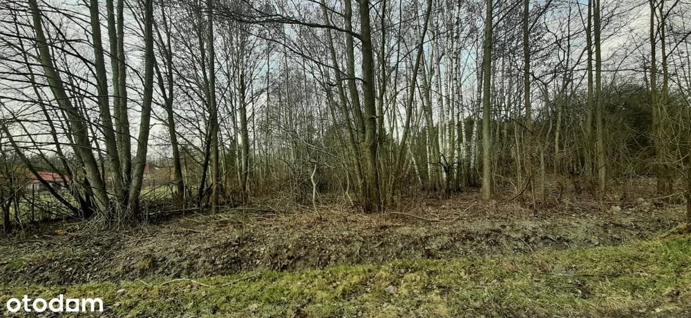 Piękna działka w otulinie Parku Krajobrazowego - View 3