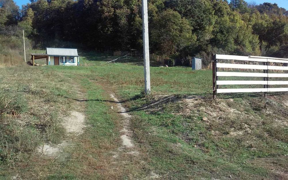 Дачна ділянка, село Курінька, Полтавська область