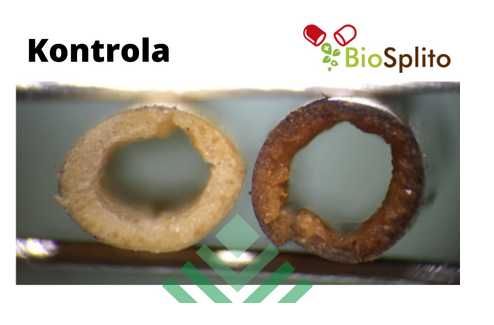 Biosplito bakterie na resztki pożniwne, bakterie do słomy, na 4 ha