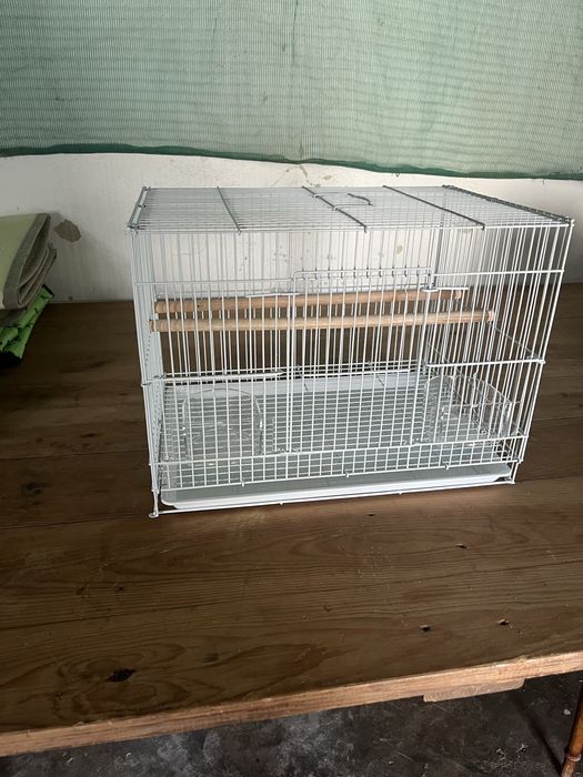 GAIOLA NOVA para aves