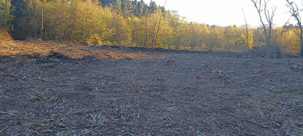 Terreno para construção