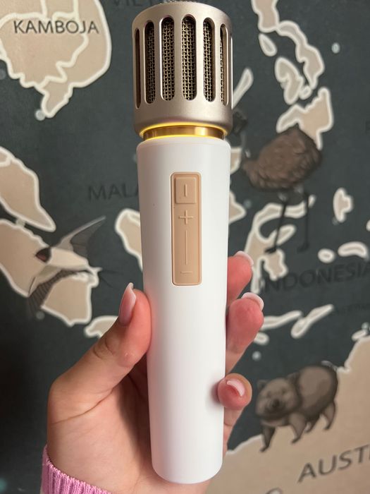 Бездротові караоке мікрофони 2 шт + ресивер “Wireless Microphone”