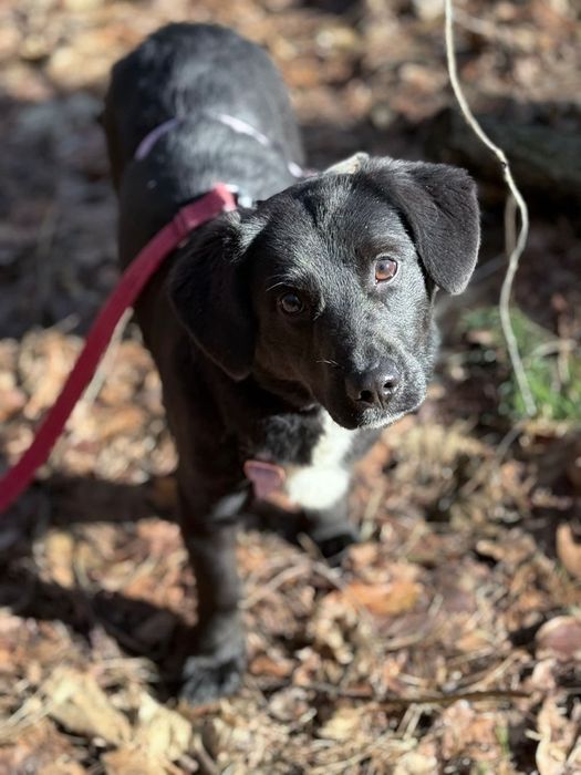 Młoda, urocza Omulew szuka rodziny na zawsze
