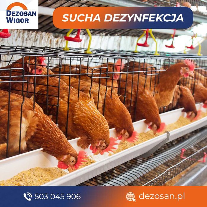 Dezosan Wigor do suchej dezynfekcji 500kg DOSTAWA GRATIS dezynfekcja