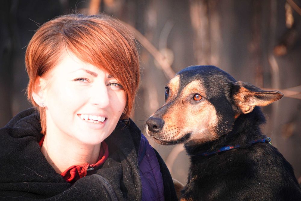 Iłek - psiak w typie owczarek