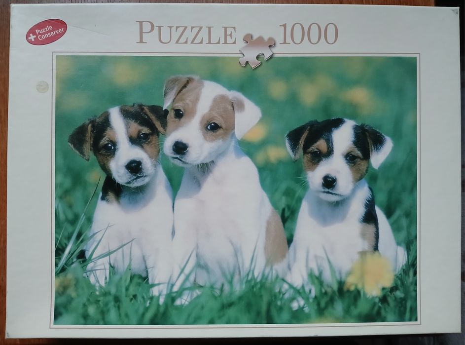 Пазл  на 1000 ел.