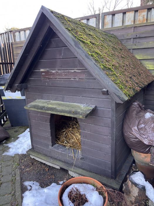 Na sprzedaż buda dla psa !