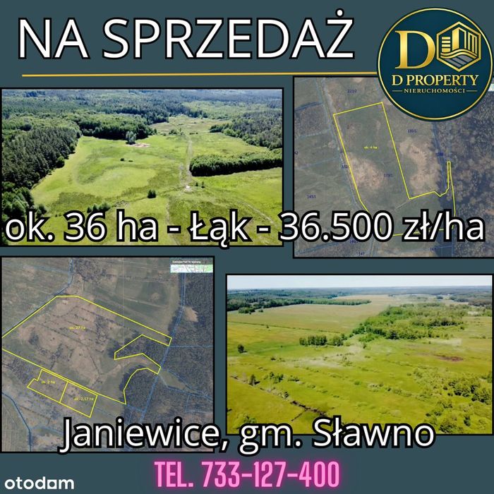Na sprzedaż łąki 35,73 ha – Janiewice, gm. Sławno | bez Natura 2000