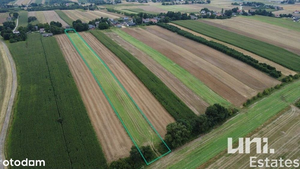 Gospodarstwo rolne| 1,12ha | Spokojna okolica