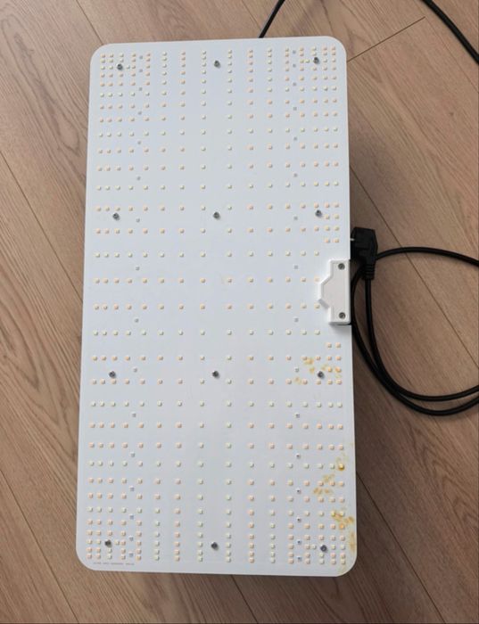 Lampa do roslin + gniazdko WiFi gratis