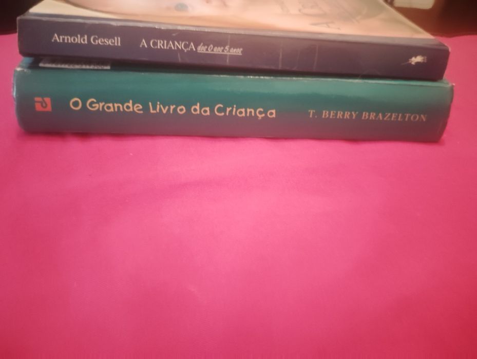 Livros Desenvolvimento da Criança Usados