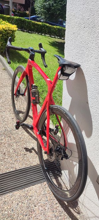 Quadro Pinarello Prince