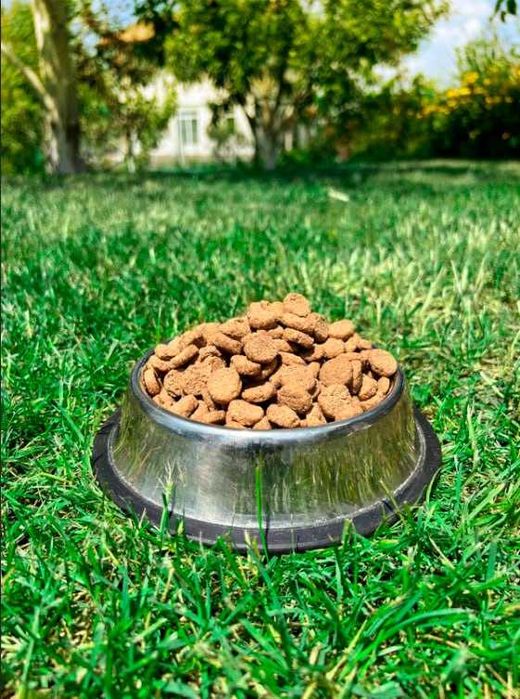 Сухий корм для собак корм гіпоалергенний Super Dog Premium 10 кг