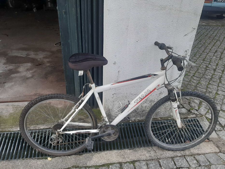 Bicicleta de Adulto Team Bike
