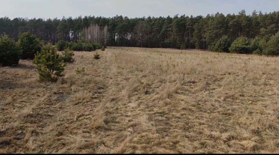 Duża, wyjątkowa działka pod lasem  z WZ