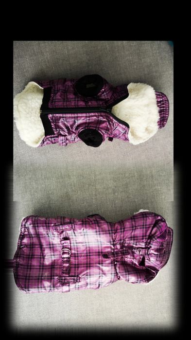 Одежда для животных