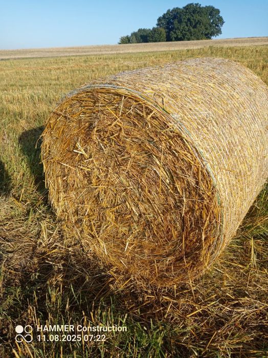 Słoma, bela, świeża, czysta, tanio, transport