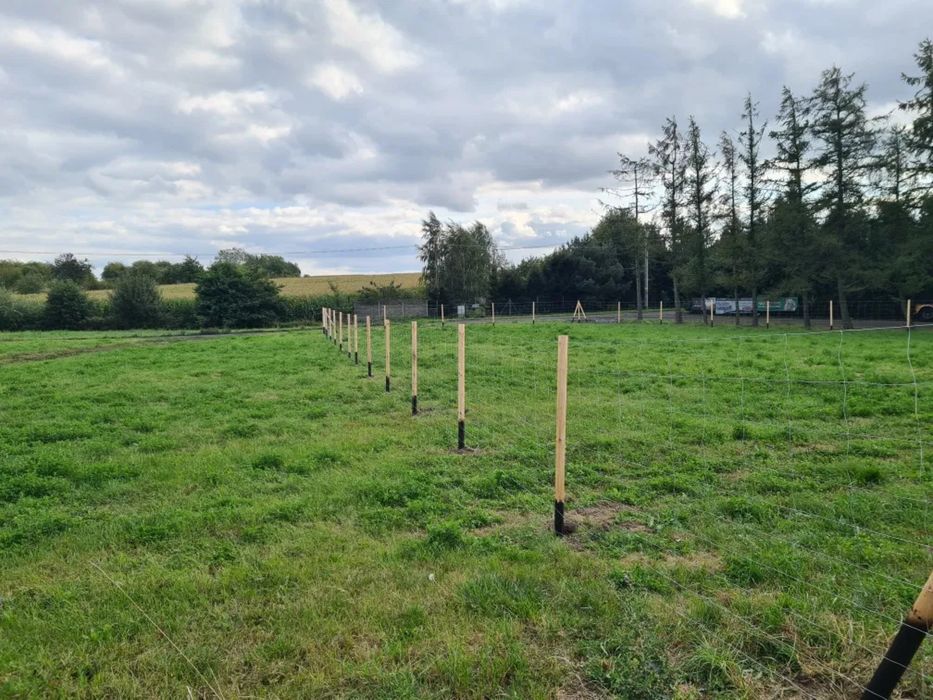 Ogrodzenie leśne budowlane tymczasowe