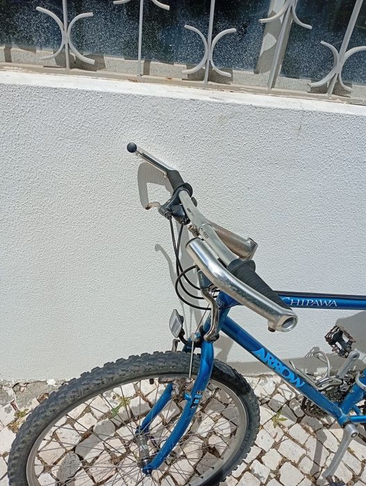 Bicicleta de montanha