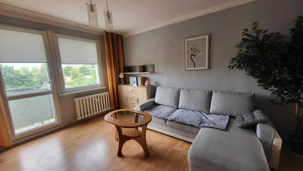 Kawalerka do wynajęcia – 30m2 Ul. Rydza Śmigłego, Zielona Góra