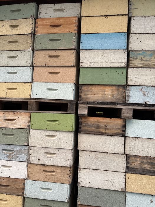 Alças usadas modell lusitana com cera ja puxada