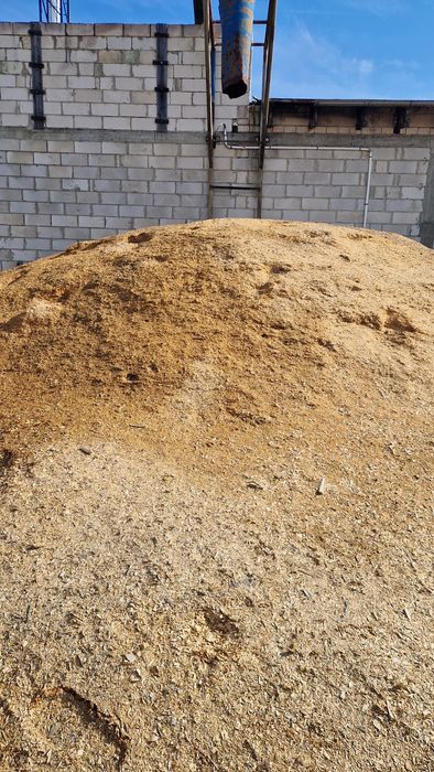 Trociny mokre oddam, duża ilość