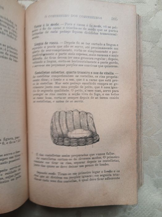 O Cozinheiro dos Cozinheiros (Encadernado, 1905)