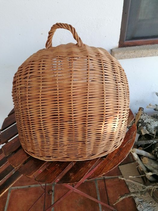 Transportadora para animais