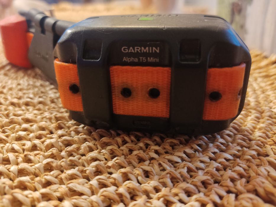 Garmin alpha 100
