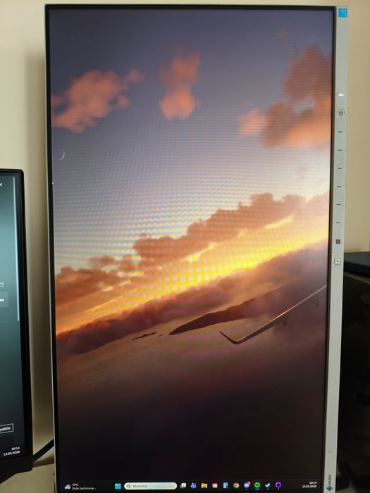Monitor Eizo FlexScan EV2450