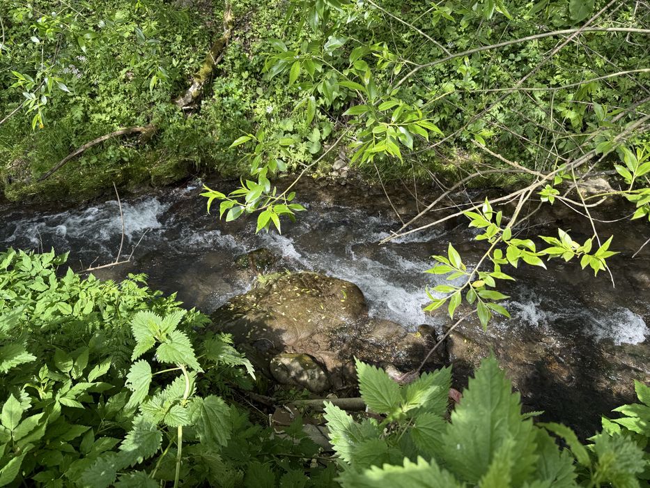 Продається ділянка  з виходом  до річки у с. Негровець