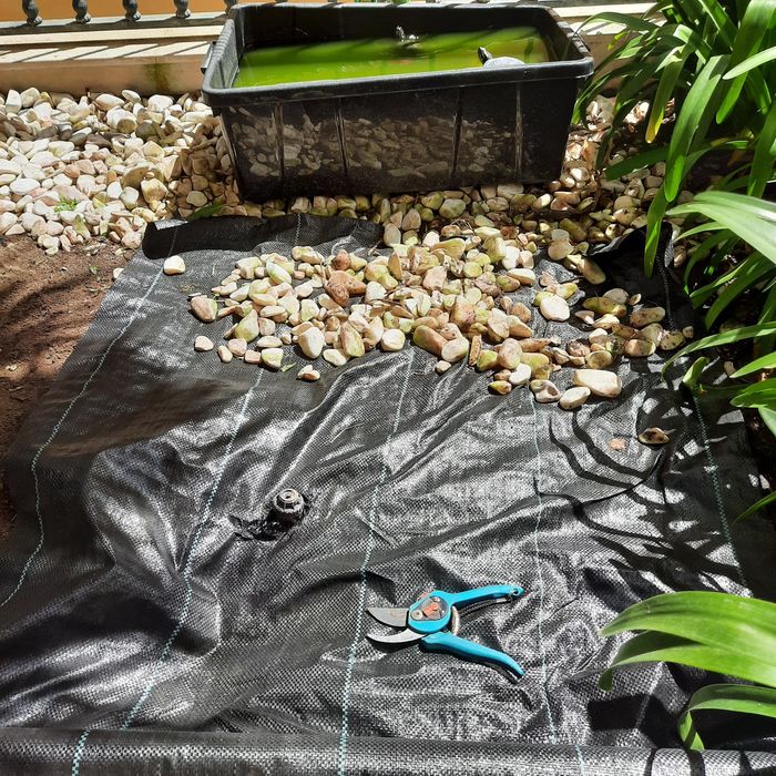 Verde & Vida – Serviços de Jardinagem