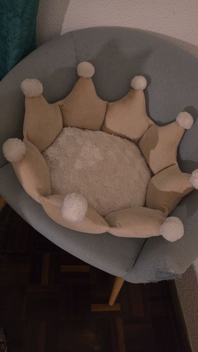 Torre Gatos + Transportadoras e Acessórios