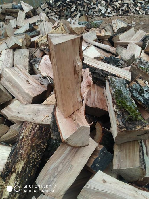 Дрова колотые твердых пород