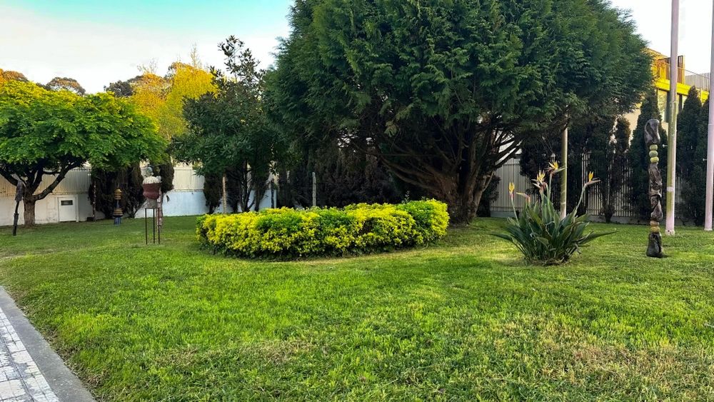 Jardinagem - serviços profissionais