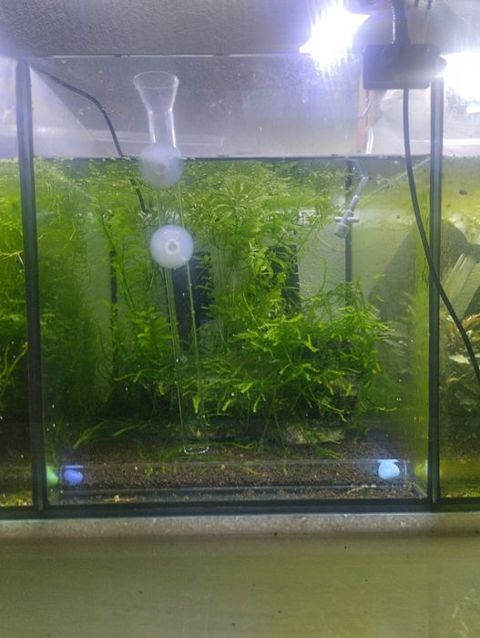 Aquários  50.  - 60 -  93cms 3 divisões