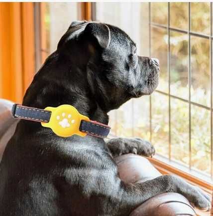 Etui dla psa i kota do Apple AirTag, obroża Coholl